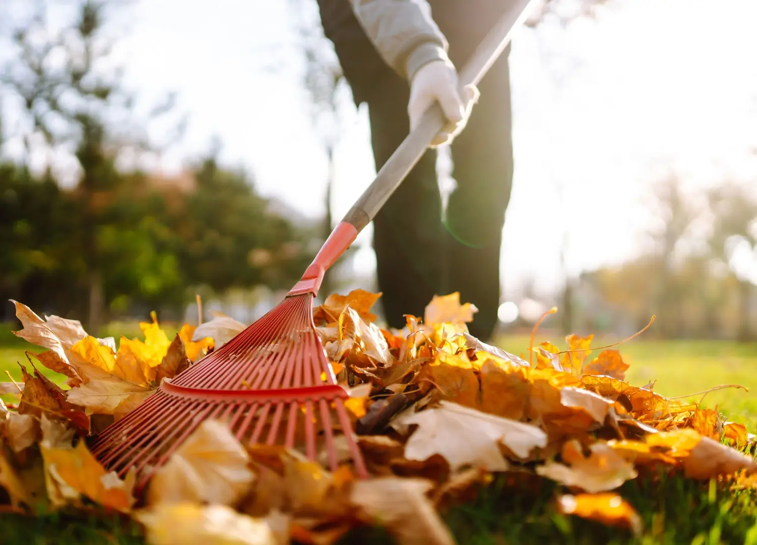 Home-Decor-and-Garden